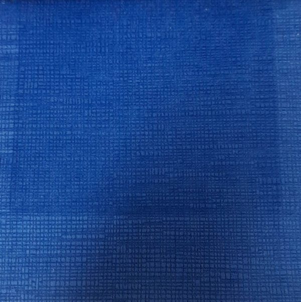 Felpa Azul Rey Labrada